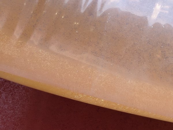 Live baby brine shrimp Sea Monkeys