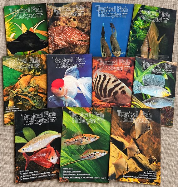1979 Tropical Fish Hobbyist Magazine – C