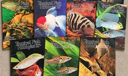 1979 Tropical Fish Hobbyist Magazine – C