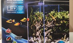 5.5 Gallon Rimless Tank & LED Light