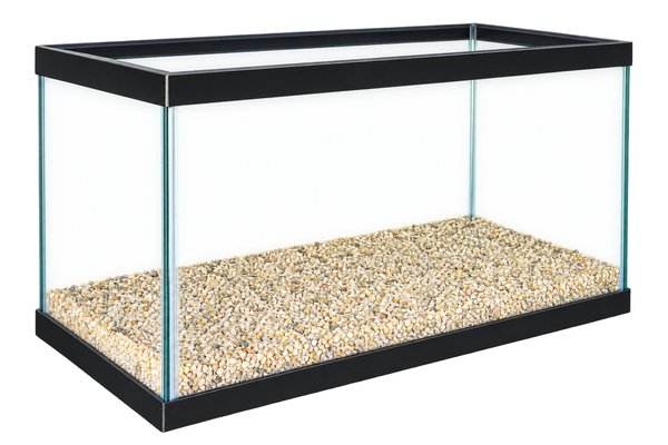 10 gallon aquarium with grave