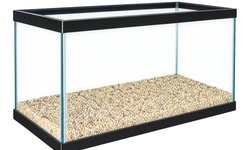 10 gallon aquarium with grave