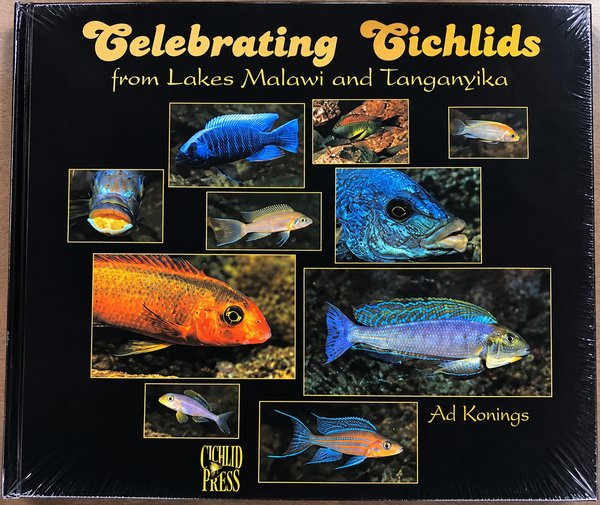 Celebrating Cichlids from Lake Malawi an