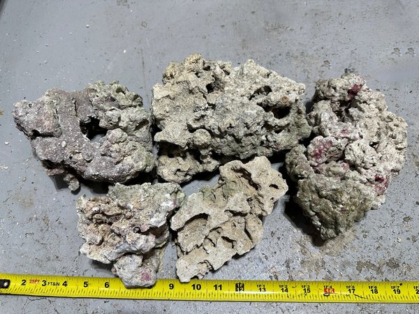 5  Pieces of Dry Live Rock
