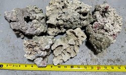 5  Pieces of Dry Live Rock