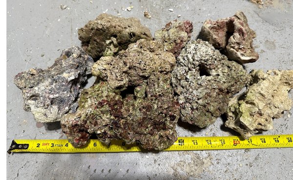 6 Various Size  Pieces of Dry Live Rock