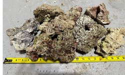 6 Various Size  Pieces of Dry Live Rock