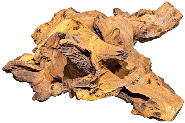 Medium Driftwood - Mopani Style