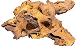 Medium Driftwood - Mopani Style