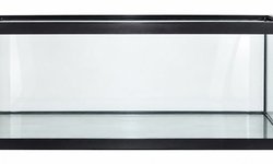 29 Gallon Long Aquarium