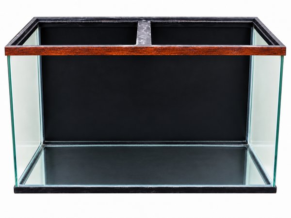 50 Gallon Tall Aquarium