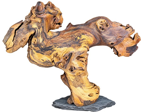 Medium Mopani Driftwood on Slate