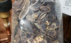 Botanicals-8" bag