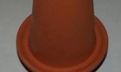 Angel/Discus Breeding Cone