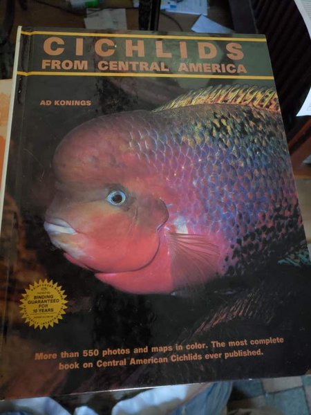 Book-Cichlds from Central America
