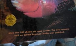 Book-Cichlds from Central America