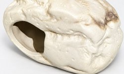 Used Small Cave with Two Openings