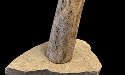 Driftwood on Slate - Used