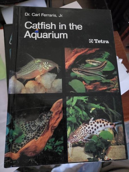 Book-Catfish in the Aquarium