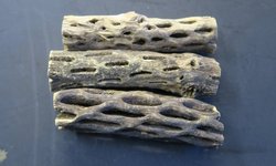 Cholla Wood (Heavy-Wt)