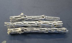 Cholla Wood (Pronounced "Choya Wood")