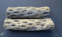 Cholla Wood (S. Heavy-Wt)