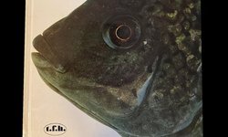 Fishes of Lake Kariba, Africa