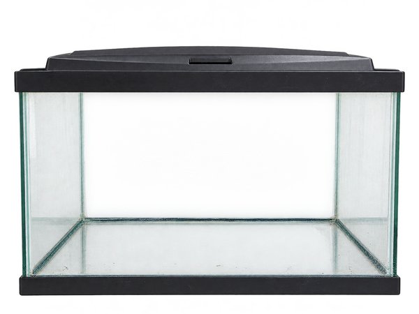 20 Gallon Tall Glass Aquarium with Hood