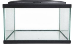 20 Gallon Tall Glass Aquarium with Hood