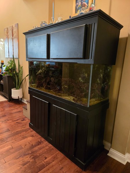 Complete 75 Gallon Marine Setup