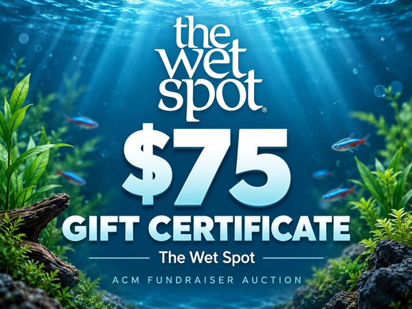 The Wet Spot Tropical Fish $75 Gift Cert