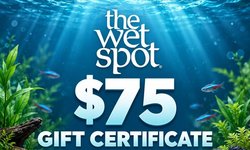 The Wet Spot Tropical Fish $75 Gift Cert
