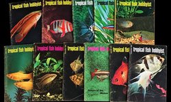 1975 Tropical Fish Hobbyist Magazine Col