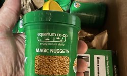 MAGIC NUGGETS