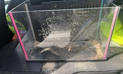 2 gallon tank. Tank and lid/light only.