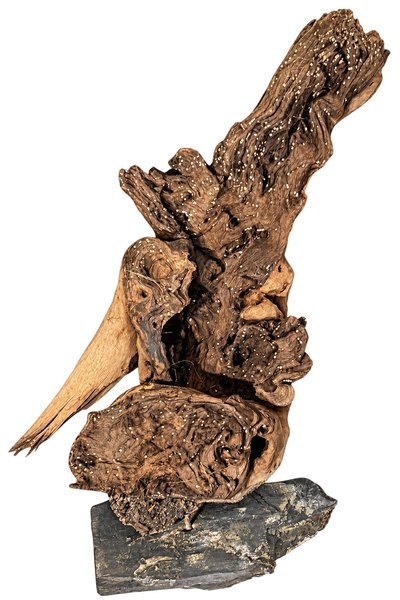 Driftwood & Natural Rock Combo