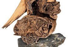 Driftwood & Natural Rock Combo