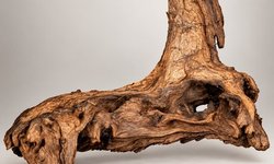 Large L-Shaped Aquarium Driftwood