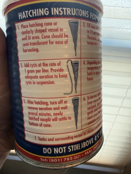 1 lbs can of brine shrimp eggs