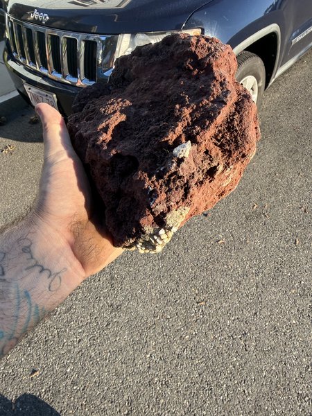 Large piece lava rock