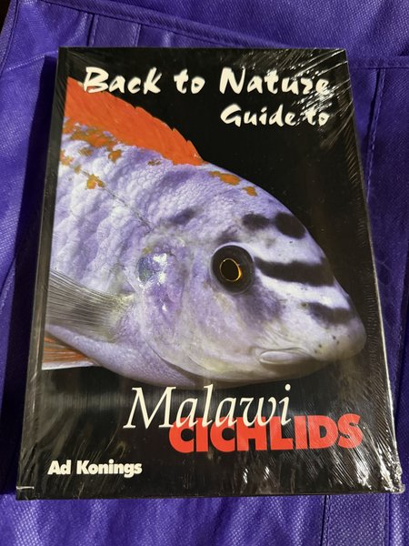 Malawi cichlids.  Ad Konings