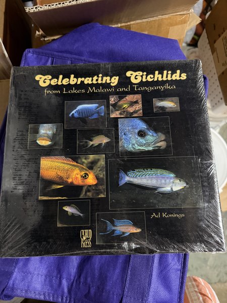 Celebrating cichlids. Ad Konings