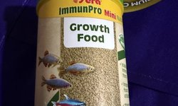 Sera growth food