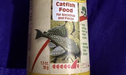 Sera catfish chips