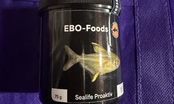 Ebo food
