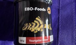 Ebo food