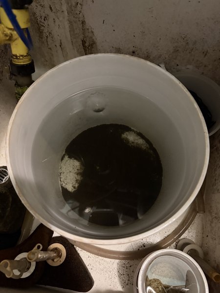 My 4 gallon bucket culture