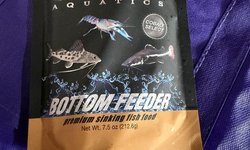 Cobalt bottom feeder