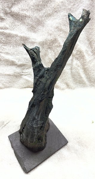 Driftwood mounted to Slate