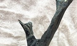 Photo 2 of Driftwood mounted to Slate
